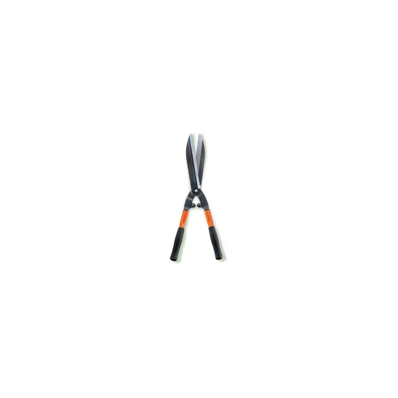 ibspot-15500388