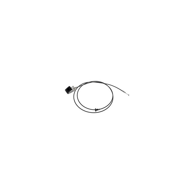 ibspot-15755656