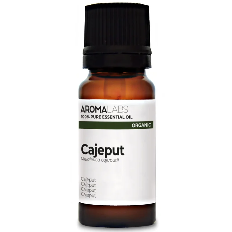 ibspot-24411790