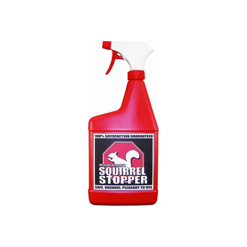 ibspot-24727040