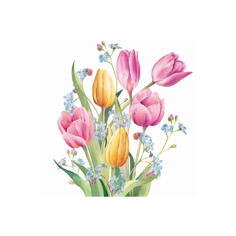 ibspot-282972