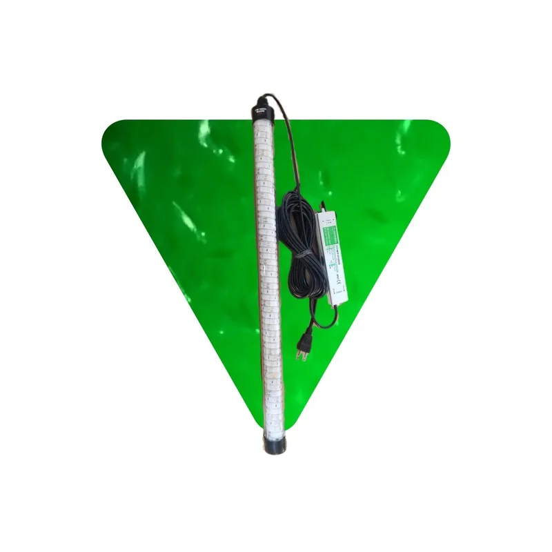 ibspot-54339286