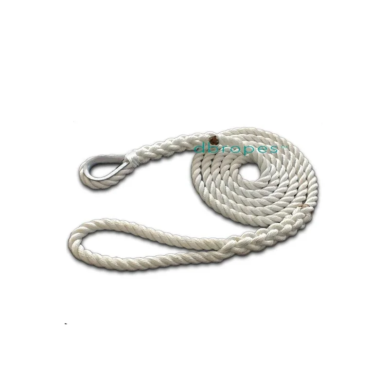 ibspot-54380221