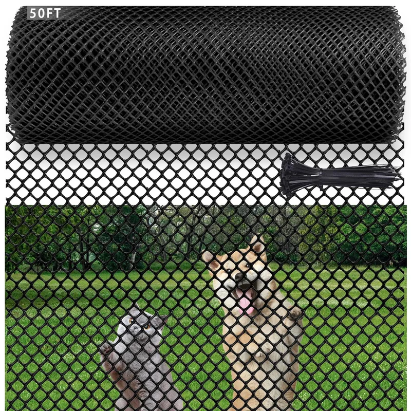 ibspot-54383351