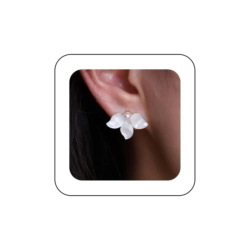 ibspot-55145020