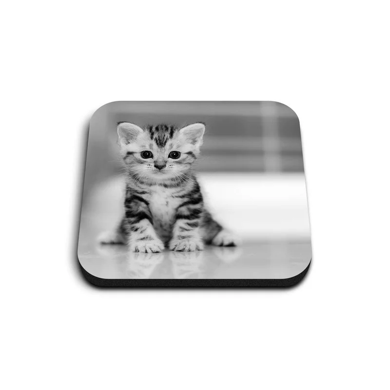 ibspot-55479076