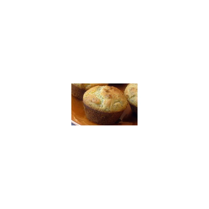 ibspot-55633326