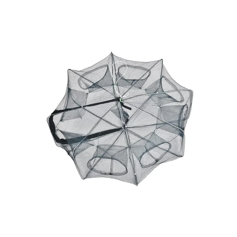 ibspot-580595