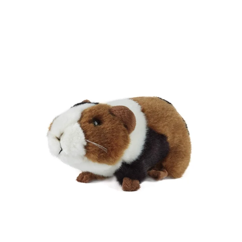 ibspot5635872