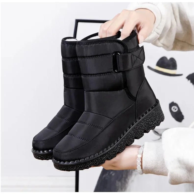 lcpshop3834935