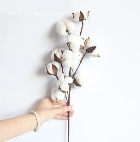 lcpshop4136795