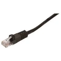 pettigrew-online4199099