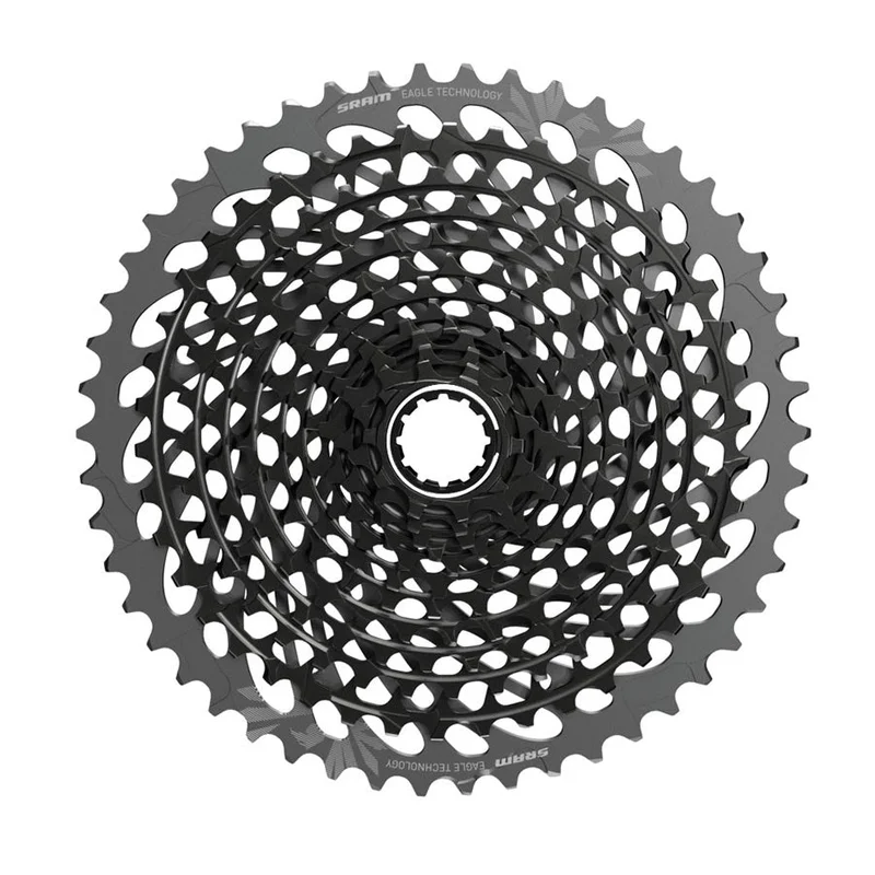 quantavici6635003