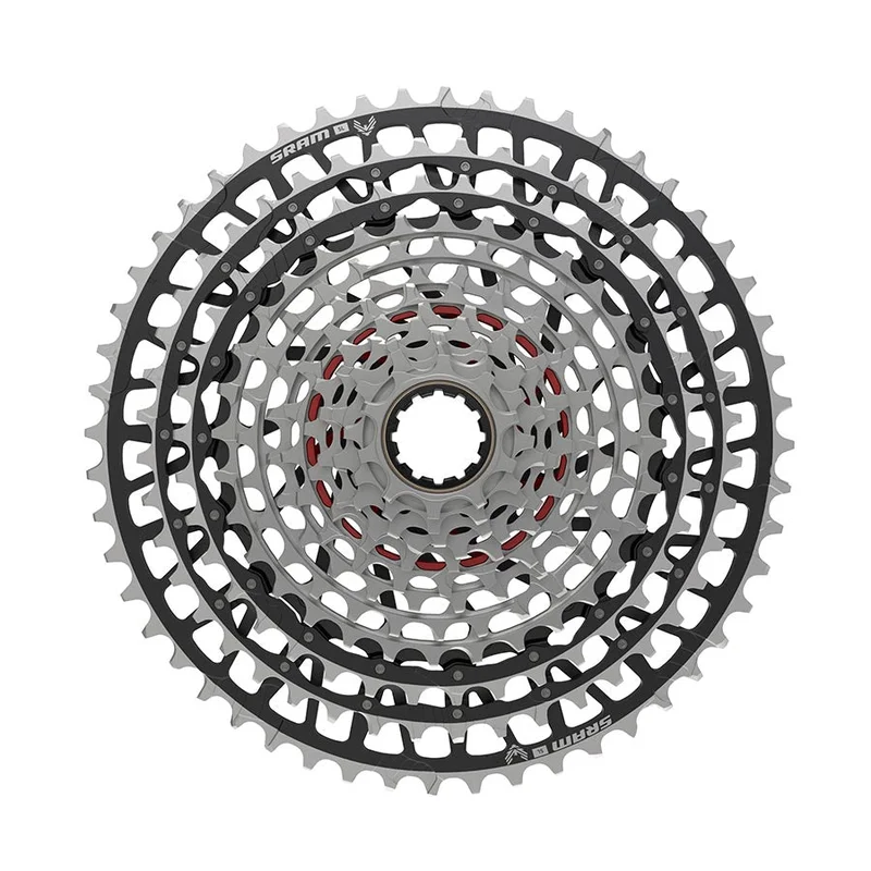 quantavici6663905