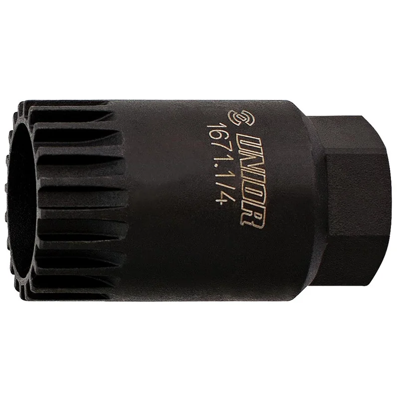 quantavici6766930