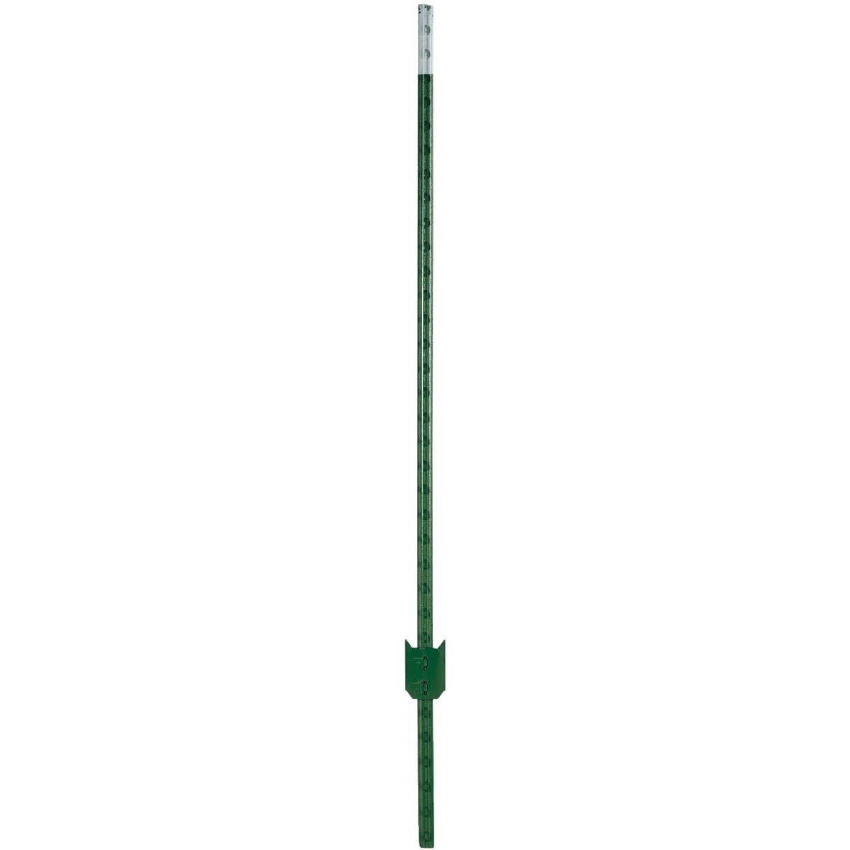 russellsofneillsville-14407658