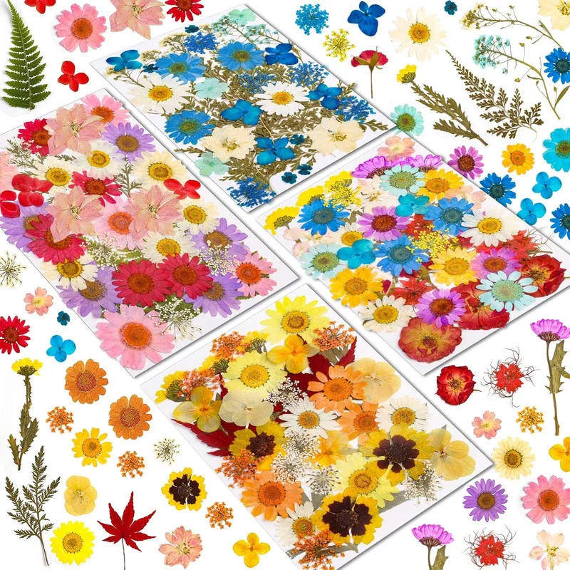 zeebooth-24698301
