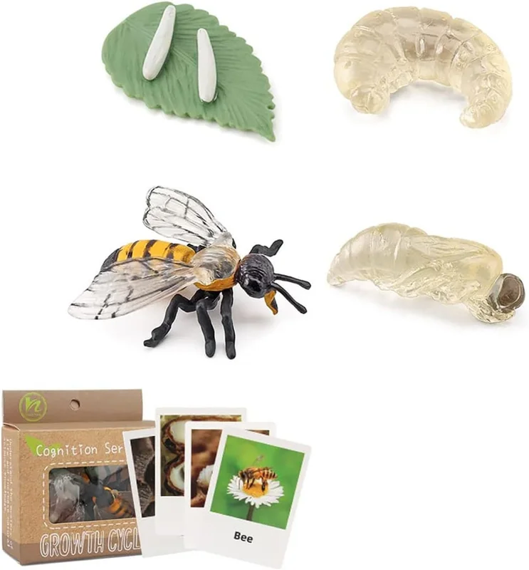 zeebooth-34617843