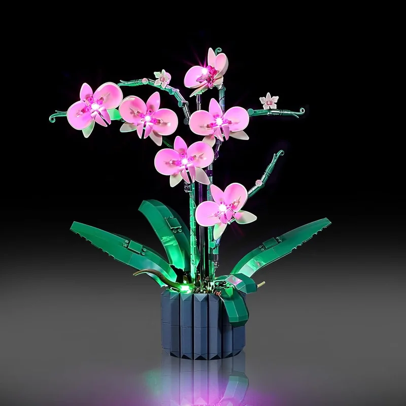 zeebooth-34671517