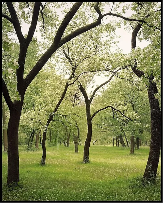 zeebooth-44192677