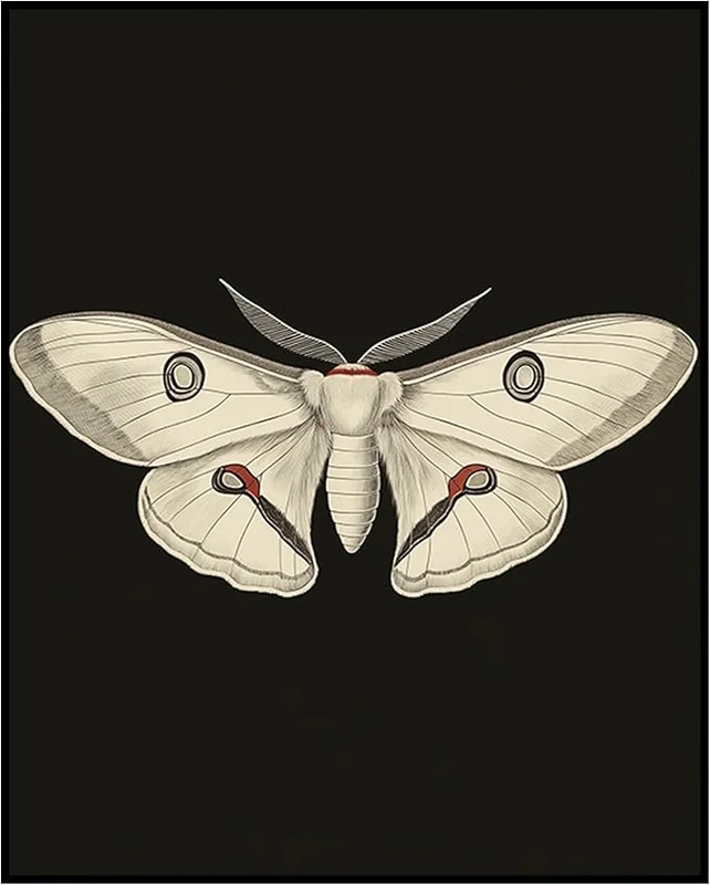 zeebooth-44225895