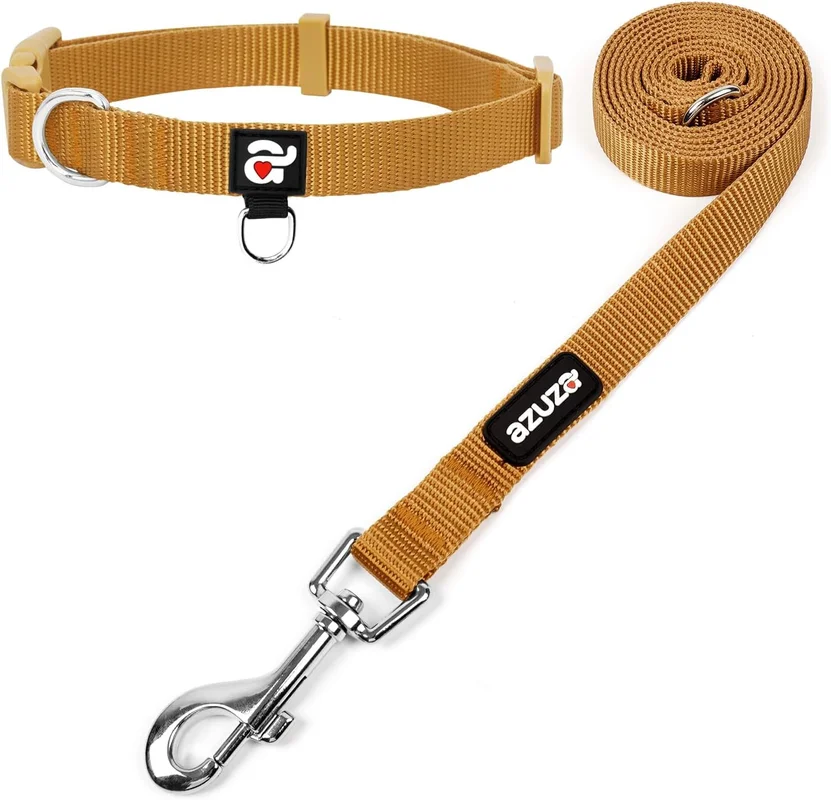 zeebooth-44480510