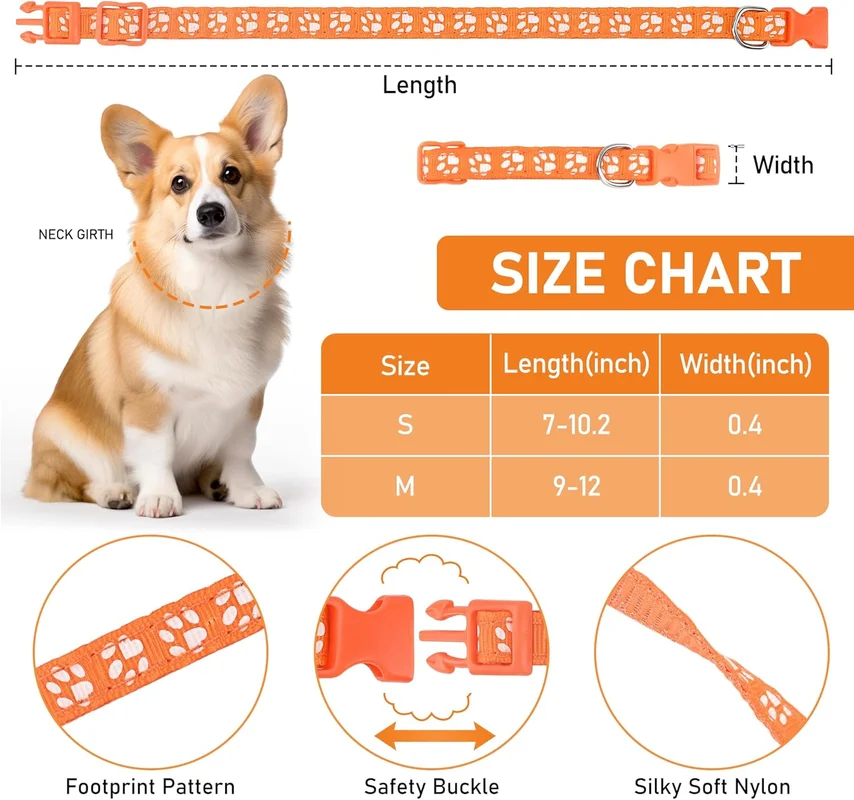 zeebooth-44556703
