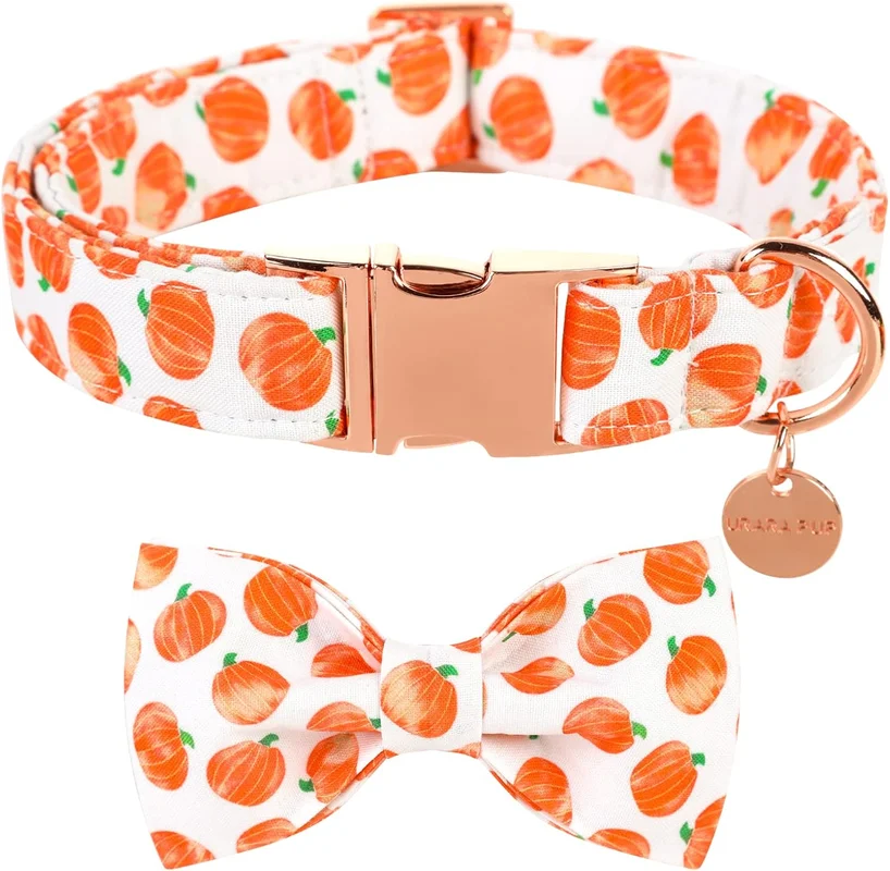 zeebooth-44560954