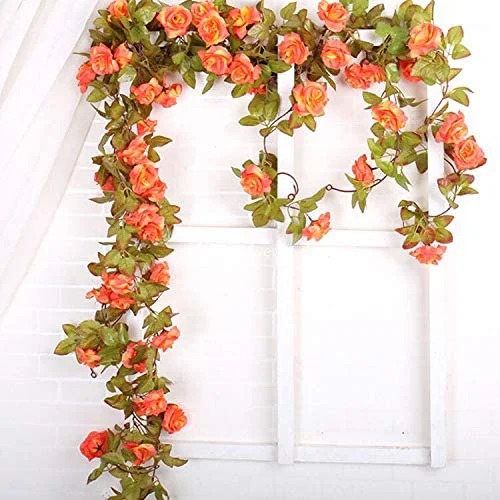 zeebooth4017350