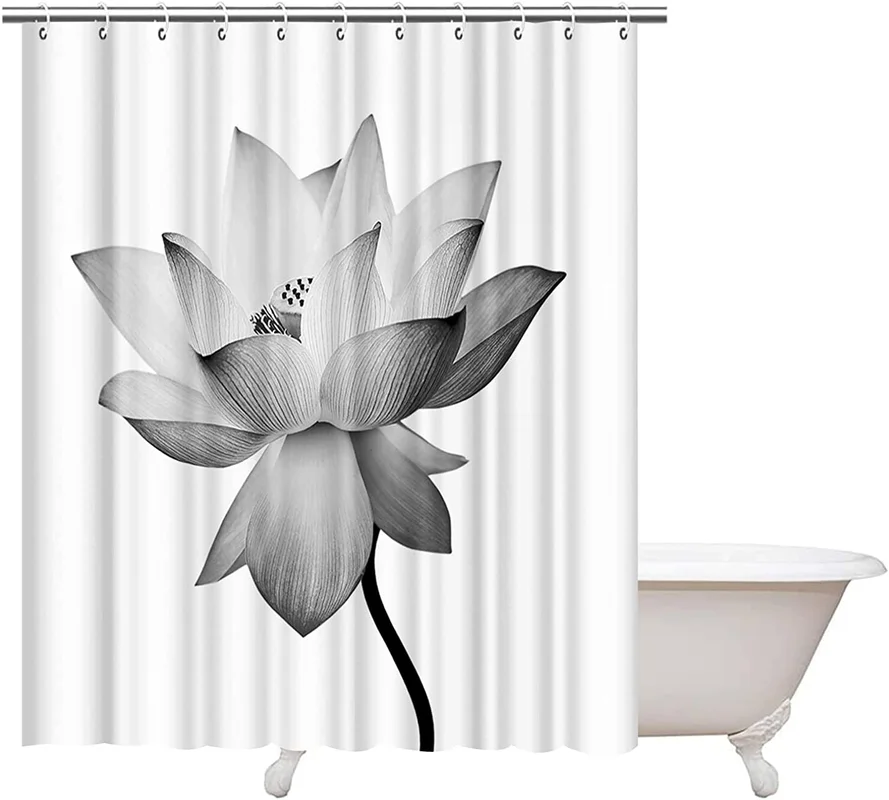 zeebooth4320308
